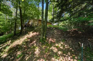 10777 Old Freesoil Rd, Manistee, MI 49660 - Photo 48