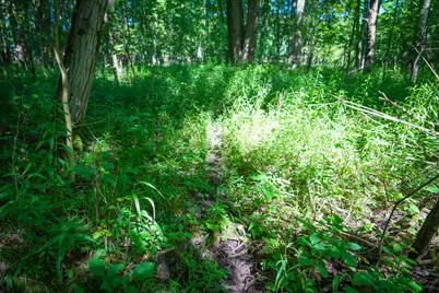 V/L 40A S 168th Avenue, Hesperia, MI 49421 - Photo 42