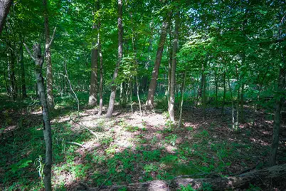V/L 40A S 168th Avenue, Hesperia, MI 49421 - Photo 22