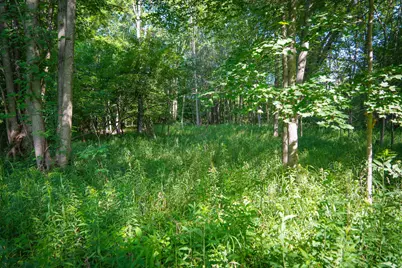 V/L 40A S 168th Avenue, Hesperia, MI 49421 - Photo 16