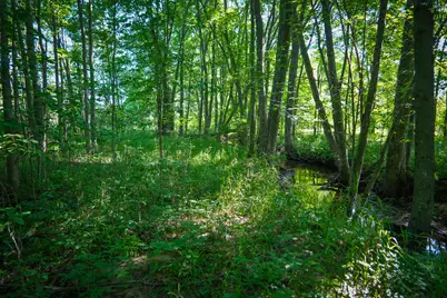 V/L 40A S 168th Avenue, Hesperia, MI 49421 - Photo 26