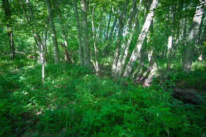 V/L 40A S 168th Avenue, Hesperia, MI 49421 - Photo 30