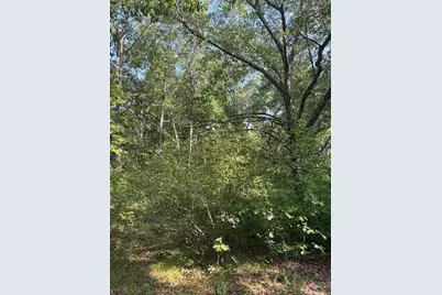 8159 Roosevelt Road, Mecosta, MI 49332 - Photo 2