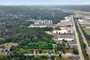 2903 Alder St, Jackson, MI 49203 - Photo 40
