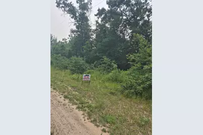 W Foreman Road, Baldwin, MI 49304 - Photo 4