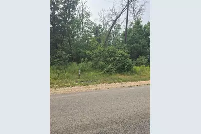 W Foreman Road, Baldwin, MI 49304 - Photo 2
