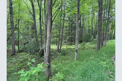 142 Hills Circle, Leroy, MI 49655 - Photo 1
