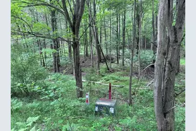 142 Hills Circle, Leroy, MI 49655 - Photo 2