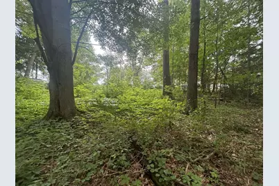 0 V/L Ash-Te-Wette Drive, Hillsdale, MI 49242 - Photo 8