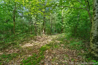 1125 39th Street, Allegan, MI 49010 - Photo 50