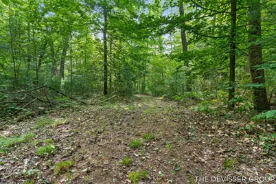 1125 39th Street, Allegan, MI 49010 - Photo 46