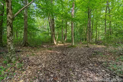 1125 39th Street, Allegan, MI 49010 - Photo 80