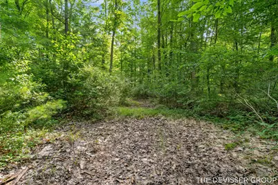 1125 39th Street, Allegan, MI 49010 - Photo 52