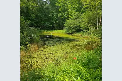 8045 W 16 Mile, Bitely, MI 49309 - Photo 26