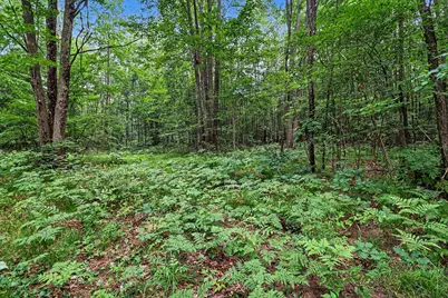 4994 E Madison Road, Walkerville, MI 49459 - Photo 34