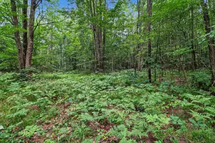 4994 E Madison Rd, Walkerville, MI 49459 - Photo 34
