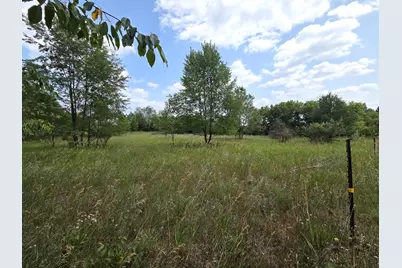 00 W Stanton Road, Trufant, MI 49347 - Photo 8