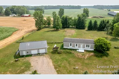 10130 Stahl Road, Lake Odessa, MI 48849 - Photo 2
