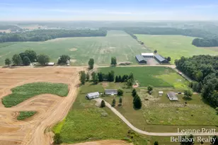 10130 Stahl Rd, Lake Odessa, MI 48849 - Photo 2