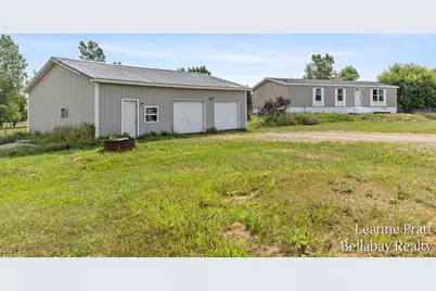 10130 Stahl Road, Lake Odessa, MI 48849 - Photo 4