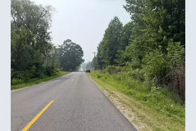 V/L 70422 16th Avenue, South Haven, MI 49090 - Photo 4