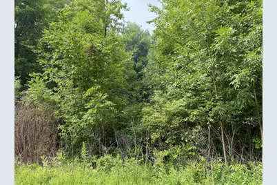 V/L 70422 16th Avenue, South Haven, MI 49090 - Photo 2