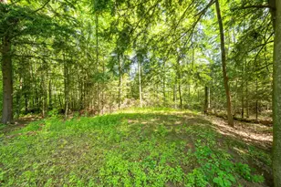 10182 Bertrand Blvd, Reed City, MI 49677 - Photo 38