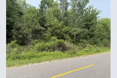 V/L 70444 16th Avenue, South Haven, MI 49090 - Photo 4