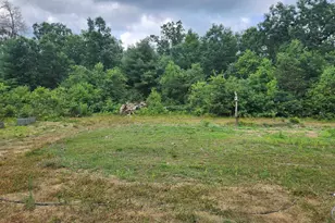 2833 E 40th St, Idlewild, MI 49642 - Photo 20