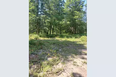 2807 S Evergreen Drive, White Cloud, MI 49349 - Photo 1