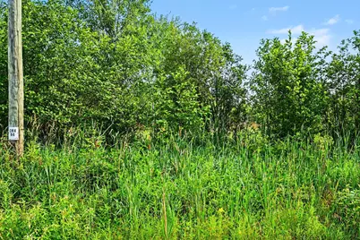 00000 Potter Road, Bear Lake, MI 49614 - Photo 14