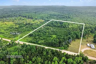 00000 Potter Rd, Bear Lake, MI 49614 - Photo 1