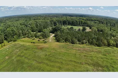 Leckrone Road, Brethren, MI 49619 - Photo 8