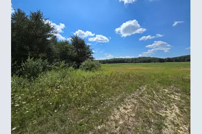 Leckrone Road, Brethren, MI 49619 - Photo 2