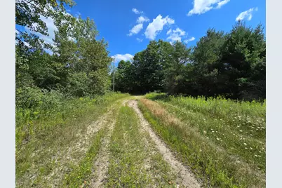 Leckrone Road, Brethren, MI 49619 - Photo 4