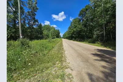 Leckrone Road, Brethren, MI 49619 - Photo 6