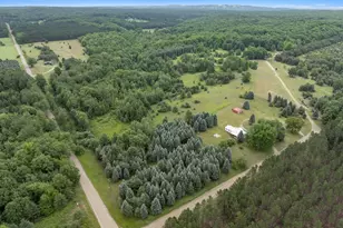 9191 W 34 Rd, Harrietta, MI 49638 - Photo 26