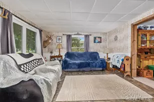 117 W Pine St, Edmore, MI 48829 - Photo 6