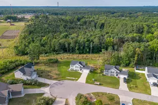 1309 Waterpoint Ct, Whitehall, MI 49461 - Photo 48