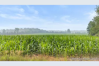 V/L N Grow Road, Stanton, MI 48888 - Photo 14