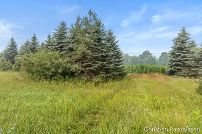 V/L N Grow Road, Stanton, MI 48888 - Photo 18
