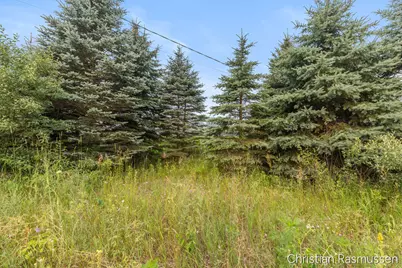 V/L N Grow Road, Stanton, MI 48888 - Photo 20
