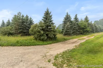 V/L N Grow Road, Stanton, MI 48888 - Photo 16