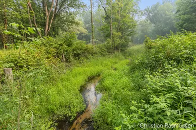 V/L N Grow Road, Stanton, MI 48888 - Photo 10