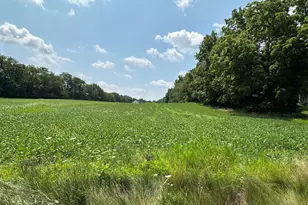 V/L Bertrand, Niles, MI 49120 - Photo 1