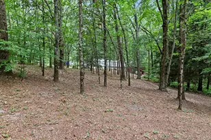 9196 N Ruth Dr, Branch, MI 49402 - Photo 22