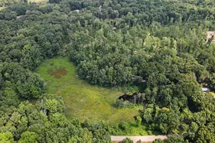 11091 W Dr N, Bellevue, MI 49021 - Photo 22