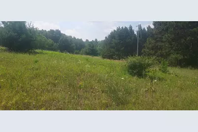V/L E 88th Street, Howard City, MI 49329 - Photo 1