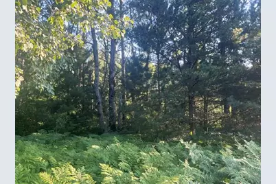 13251 Makinen Road, Kaleva, MI 49645 - Photo 12