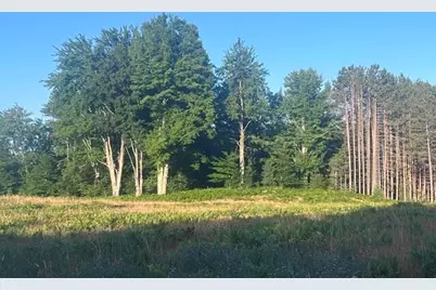 13251 Makinen Road, Kaleva, MI 49645 - Photo 4